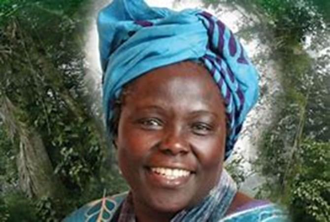 Wangari Maathai - Nobel Peace Prize Winner, Founder of the Green Belt ...